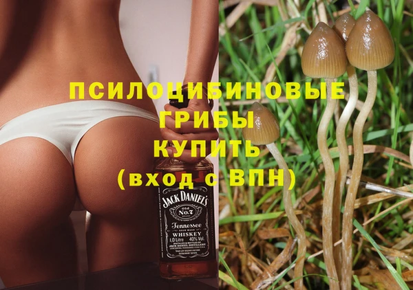 крисы Богородск