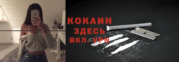 крисы Богородск